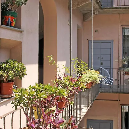 Sahi - Maroncelli 15 *